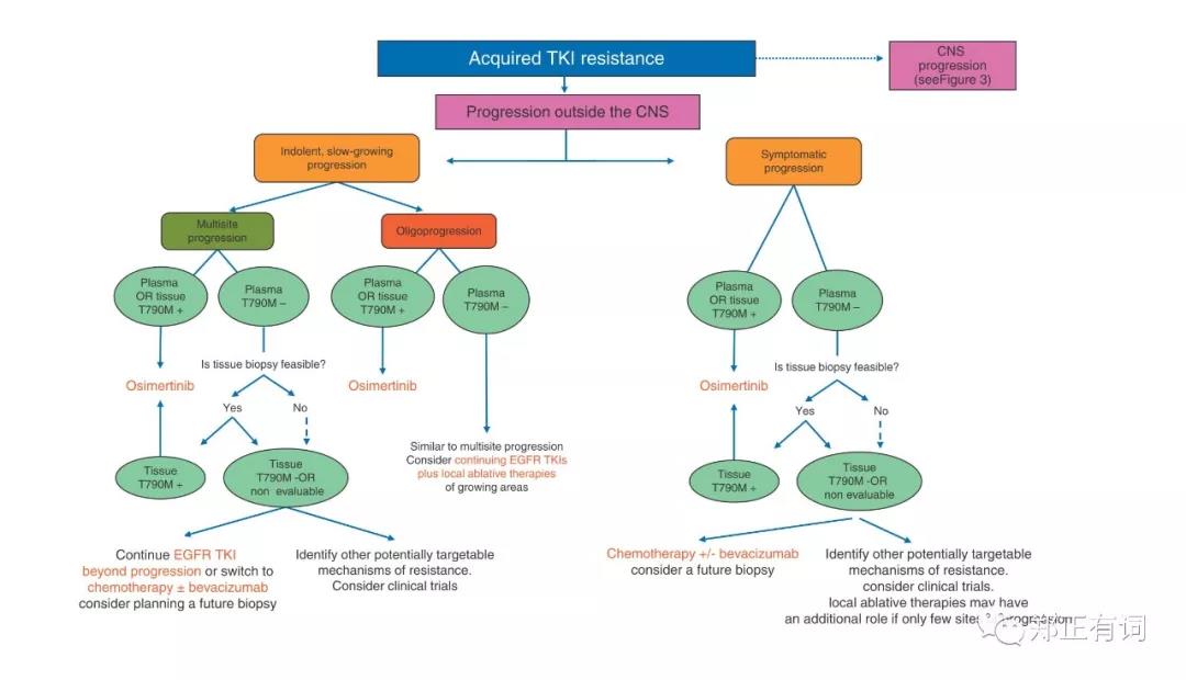 一代/二代egfr tki耐药机制(下—基于不同耐药情况下的处理原则