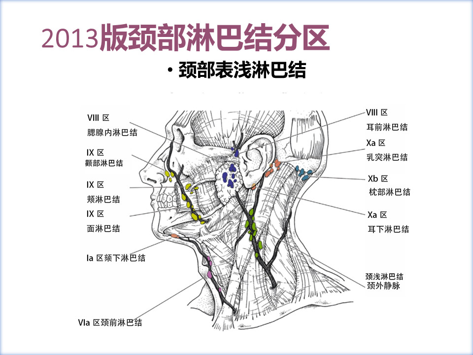 淋巴结分区与勾画(1)——头颈部肿瘤